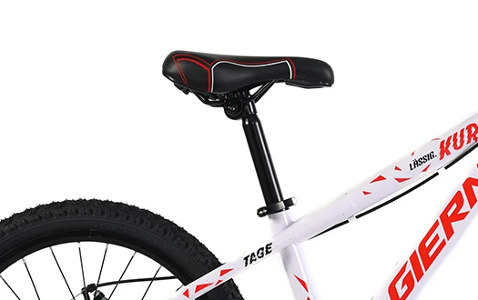 saddle saddle
