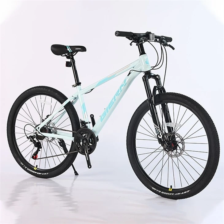 Gravel Bike Hardtail