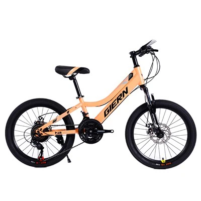מסגרת קשיח פלדה 20 MTB