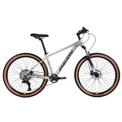 אופני הרים מסוג Hardtail High End