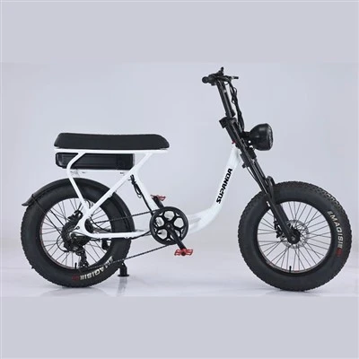 Ebike כפול כתר