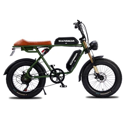 Ebike מנוע כפול